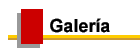Ver Galeria Fotografica